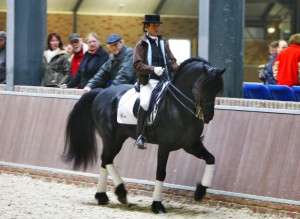 Manege Drenthe, aan de rand van Assen met restaurant