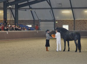 Manege Drenthe, aan de rand van Assen met restaurant