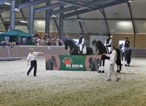 Manege Drenthe, aan de rand van Assen met restaurant