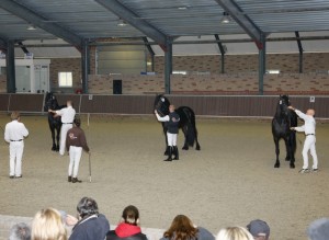 Manege Drenthe, aan de rand van Assen met restaurant