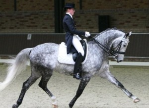 Manege Drenthe, aan de rand van Assen met restaurant