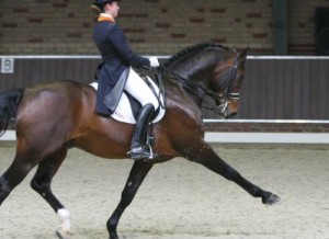 Manege Drenthe, aan de rand van Assen met restaurant