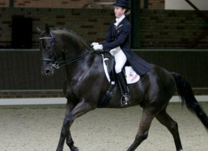 Manege Drenthe, aan de rand van Assen met restaurant