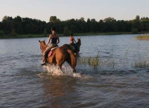 Manege Drenthe, aan de rand van Assen met restaurant