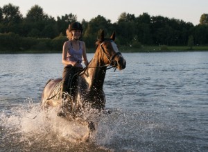 Manege Drenthe, aan de rand van Assen met restaurant