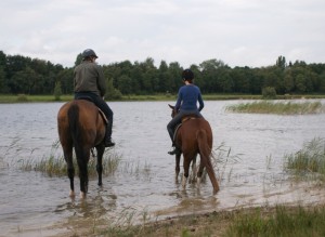 Manege Drenthe, aan de rand van Assen met restaurant